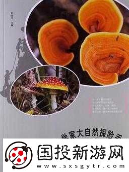 探索神秘真菌世界的全方位实用攻略指南助你轻松畅玩