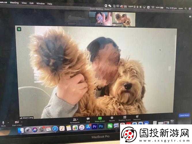 狗