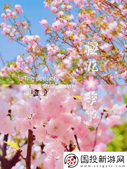 请用你的手打扰我樱花