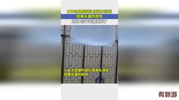 网友热议