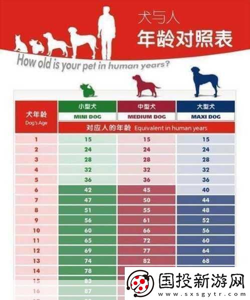 人狗胶配方大全狗狗一
