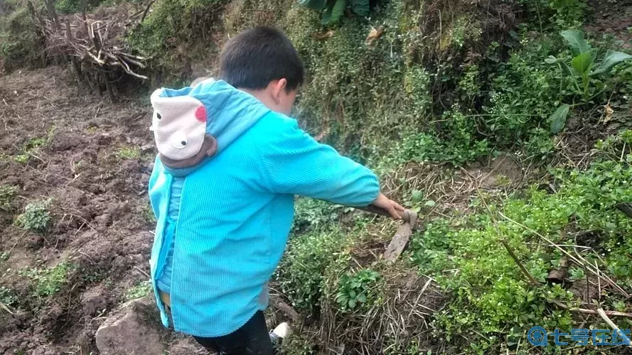 挖土小能手不用看广告