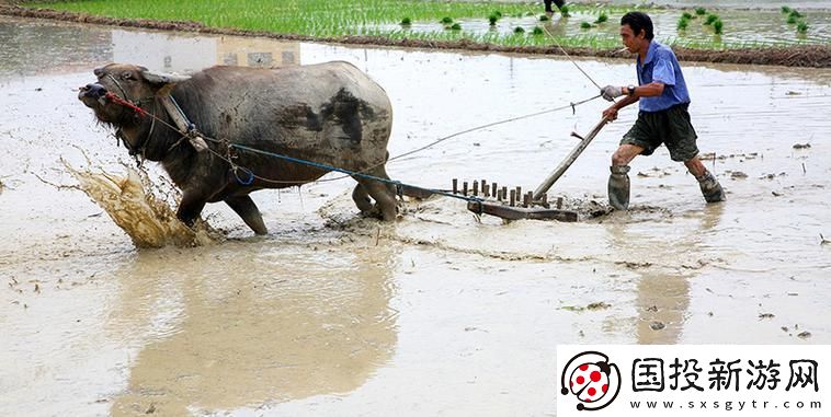 耕妈田