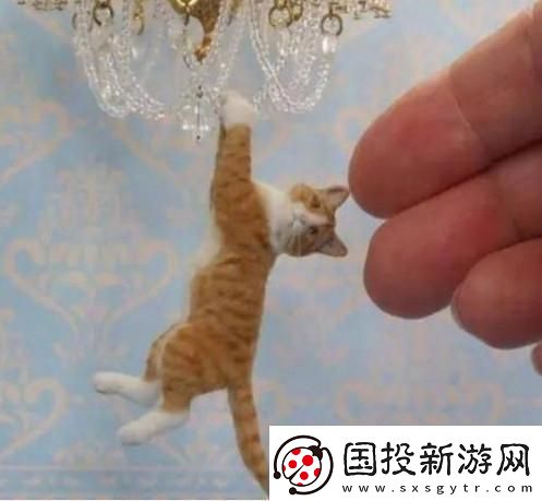 时间之神的猫210攻略路线详情