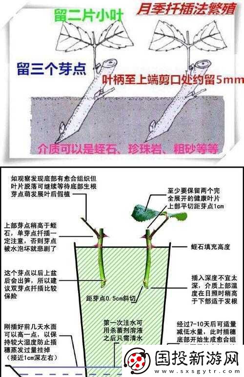 韩式