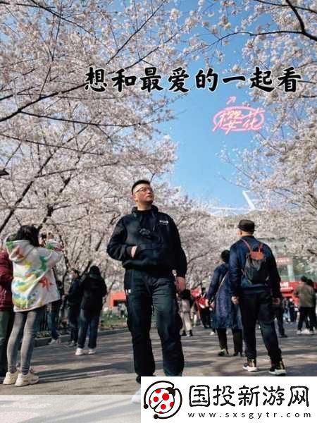 请用你的手打扰我樱花