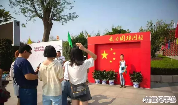 辐射4队友实力**拼