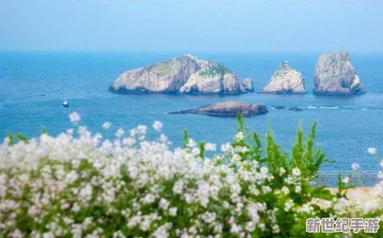 海岛纪元全新版启程