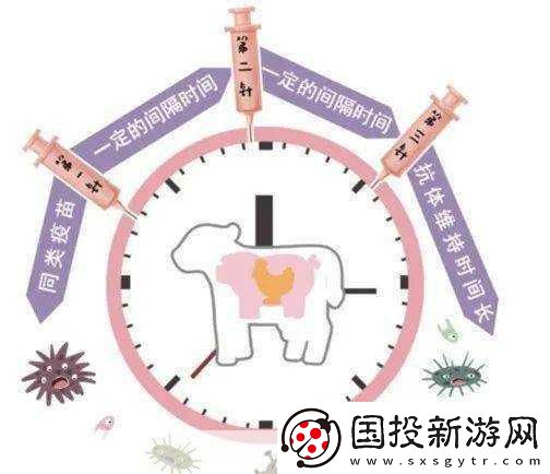 人与畜禽共性关系的重要性有哪些