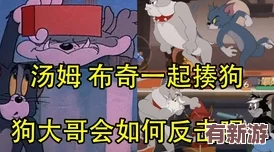 猫和老鼠手游高手进阶