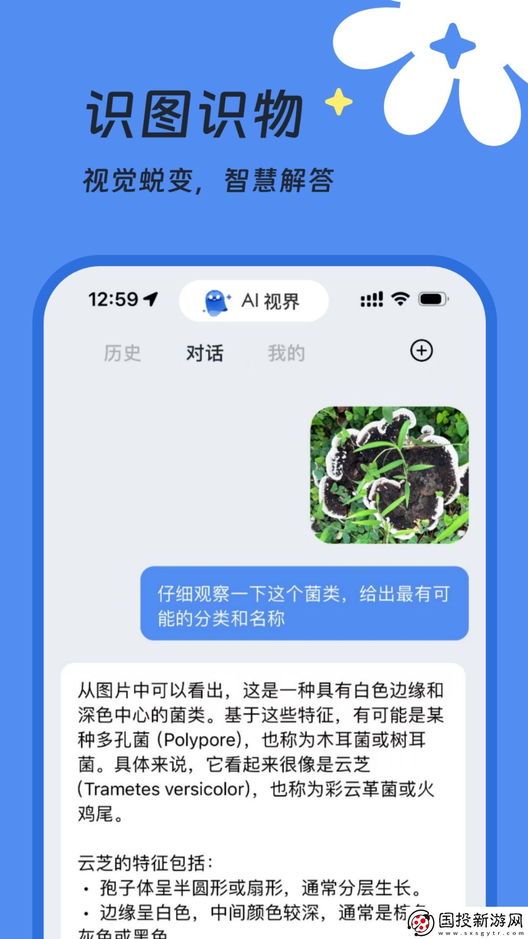 AI视界