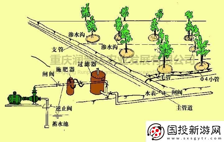 苏软软的灌溉奇遇