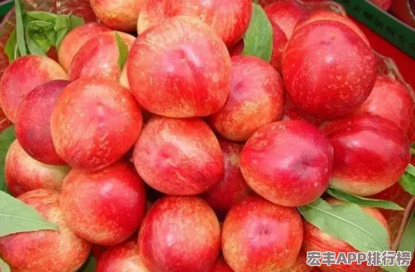 和平精英SS22赛季开启时间揭晓