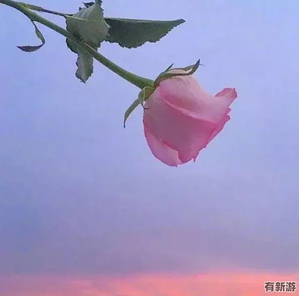墨色剑影