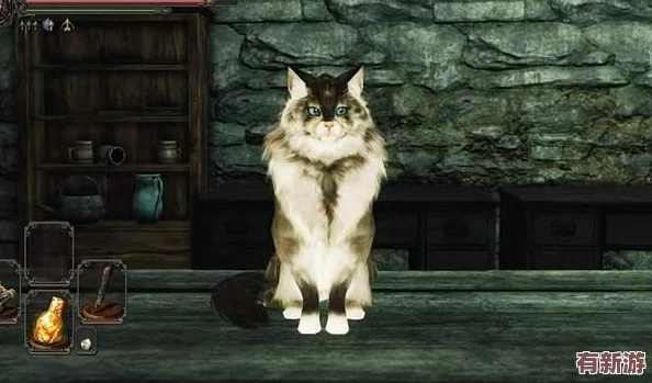 小猫咪大城市探险记