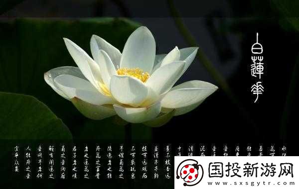 女人晚上莲花开放害处大揭秘