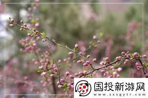 含苞欲放的桃花那是春天的嘴唇吧