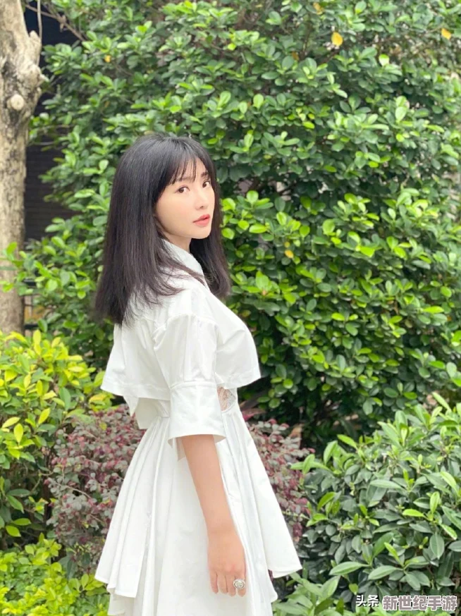 塞尔达传说