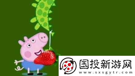 小猪视频草莓视频