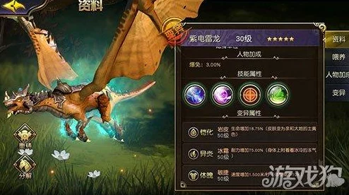 太极熊猫装备强化指南