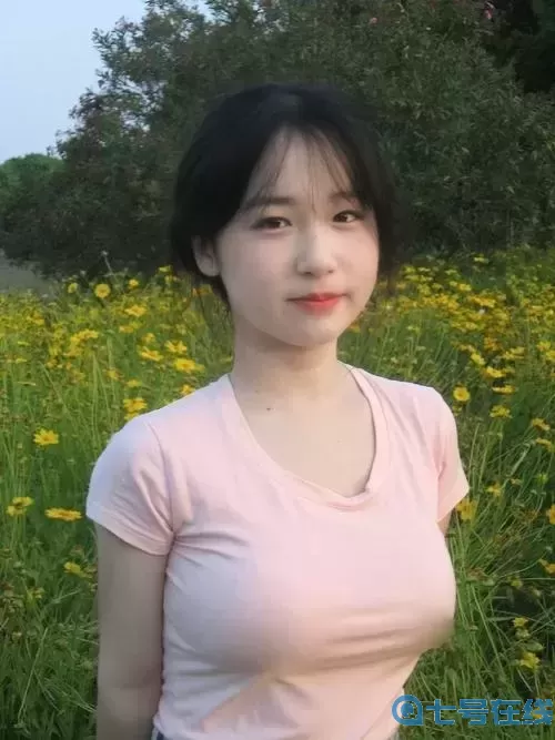 探秘蘑菇在线免费观看高清ppt的奇妙世界