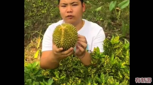 榴莲秋葵让你流连忘返