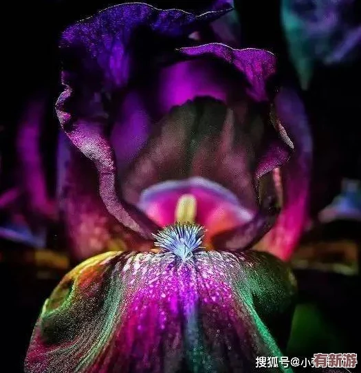 色哟哟哟哟