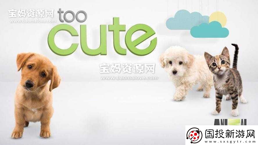 萌宠蝾螈的养成记