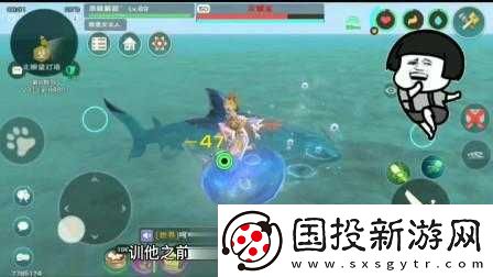 创造与魔法灰鲭鲨几级可以抓