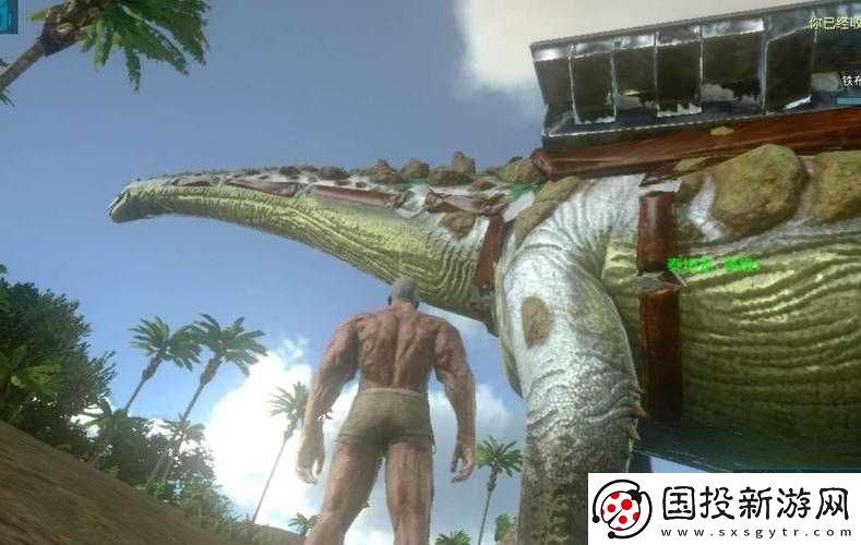方舟生存进化