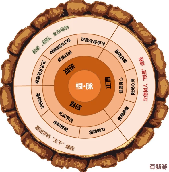 通过深入分析理解“轮换2”的多层次含义与应用场景