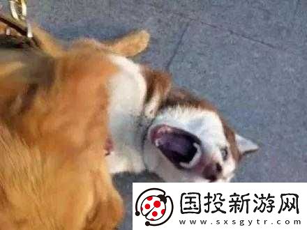 把你摁在地上摩擦怎么回复才合适