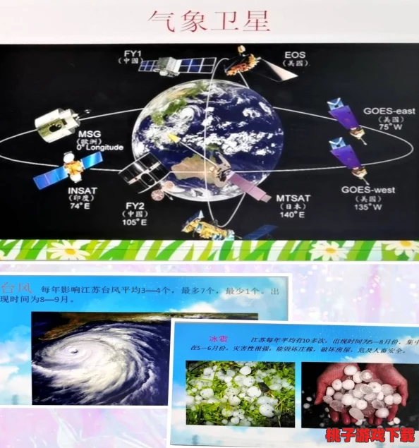 探索如鸢华佗命盘奥秘
