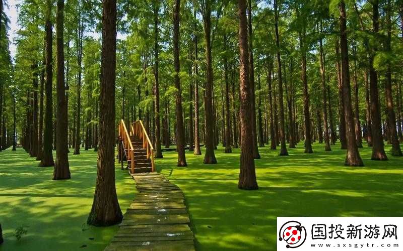 不安分的手