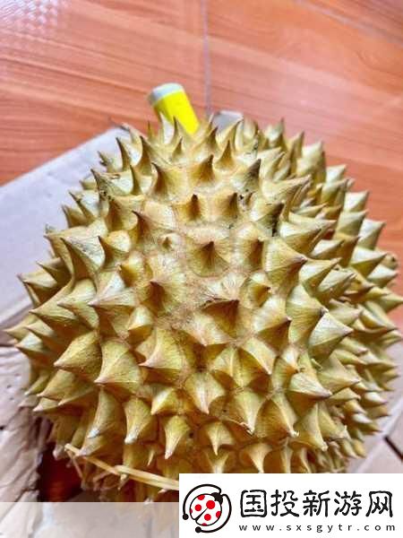 每天都在汆肉中醒来奶油尖尖
