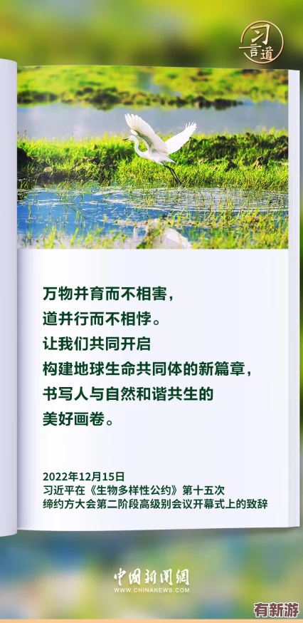 美国欧洲日本中国的文化差异