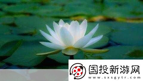 女人晚上莲花开的害处