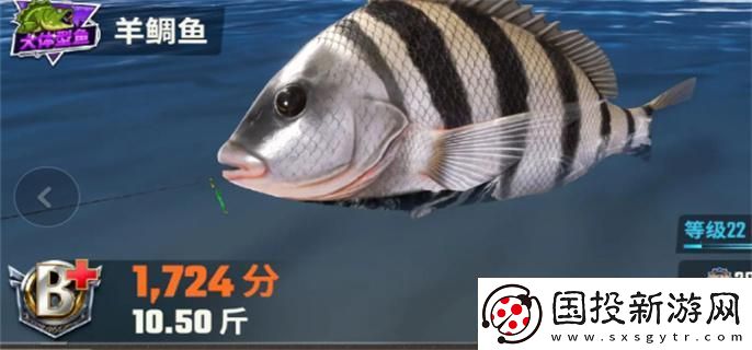 欢乐钓鱼大师鱼类有哪些