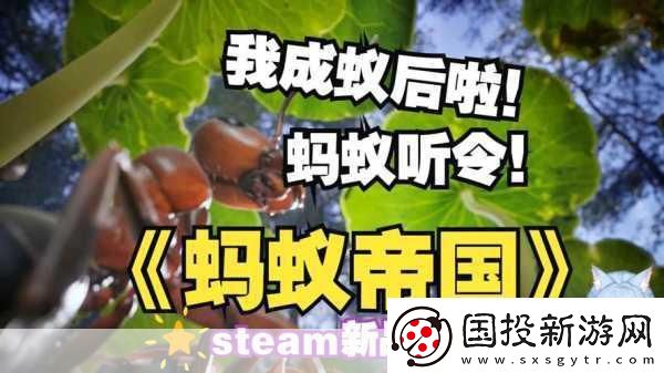 独家揭秘Steam新宠Ant