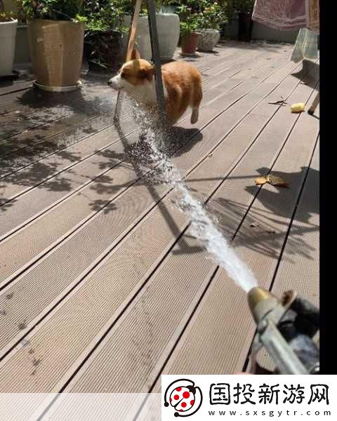 晚上听到滋水声在父母房间