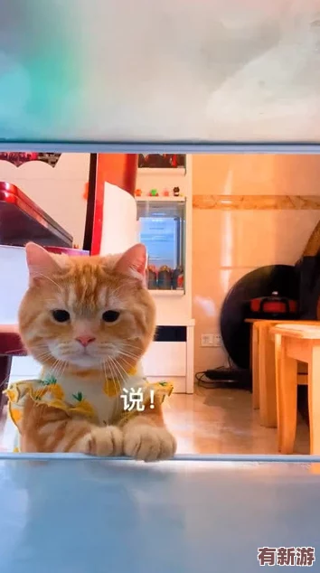 糖心柚子猫短视频vlog