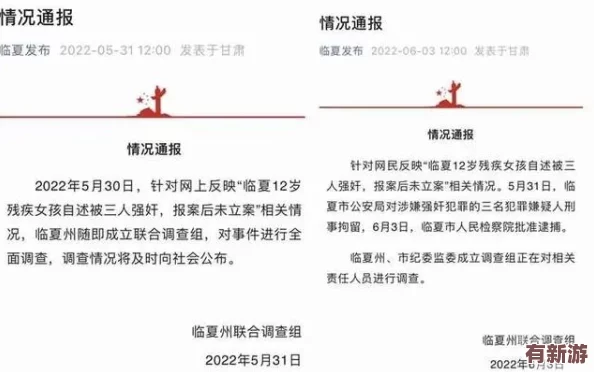 雷电将军被**