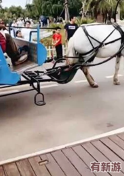 海角小马大车
