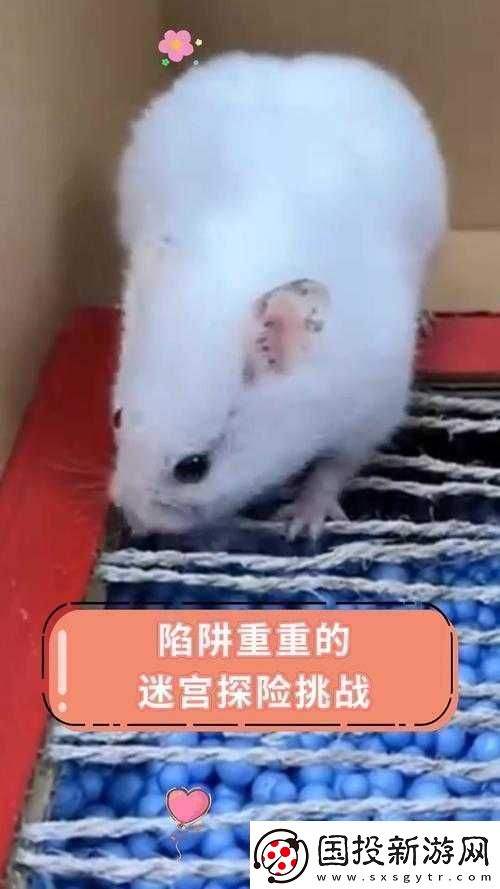 鳄鱼小顽皮