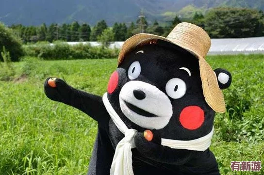教师教学