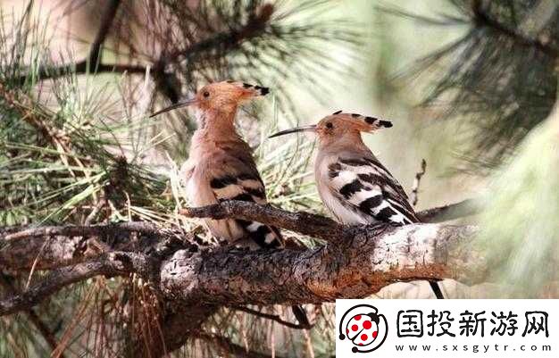 老孙头在春天里的别样故事