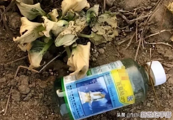 探索致命解药存档点