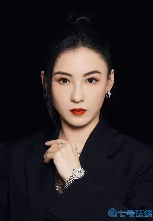 全是肉的车文