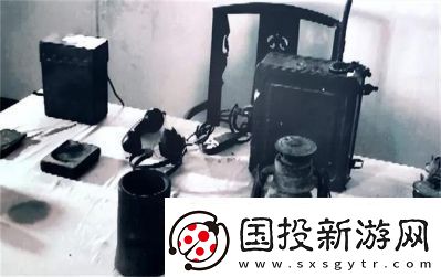 女婿枪枪有力