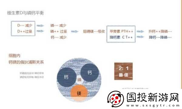 钙元素的奥秘